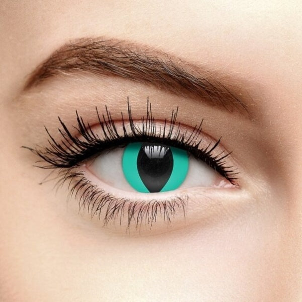 AQUA CAT HELLOWEEN WEEKLY CONTACT LENSES - Lensexpert