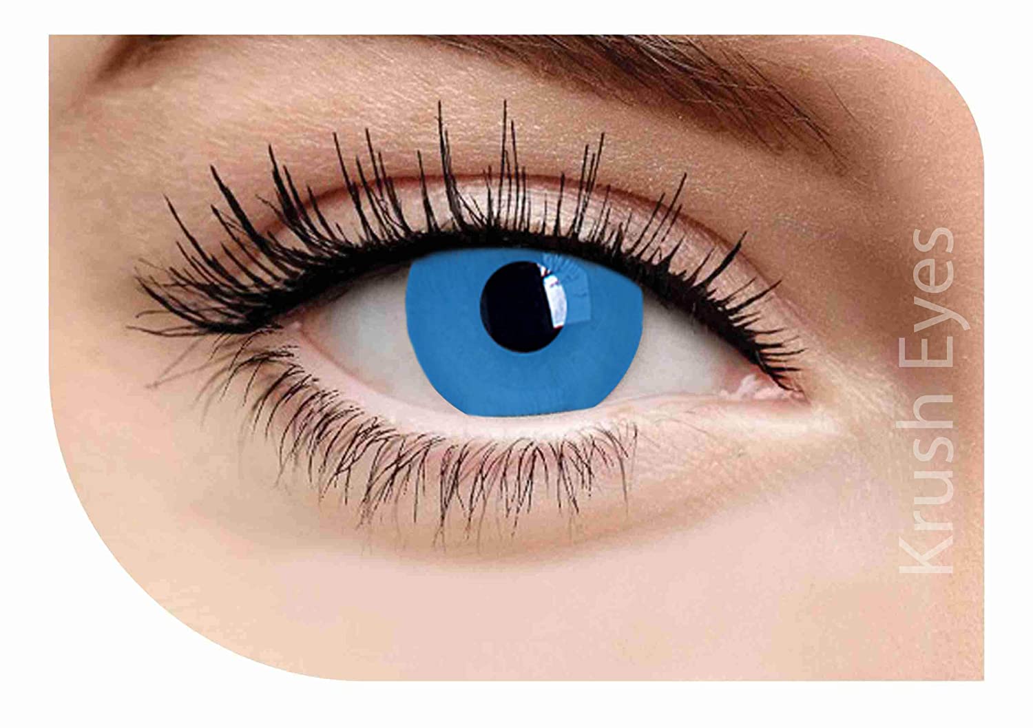 BLUE MANSOON WEEKLY CONTACT LENSES - Lensexpert