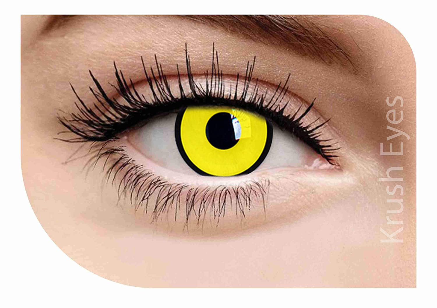 CROW WEEKLY HELLOWEEN CONTACT LENSES - Lensexpert