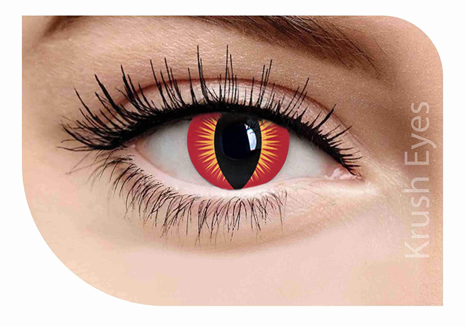 DRAGON-EYE WEEKLY HELLOWEEN CONTACT LENSES - Lensexpert