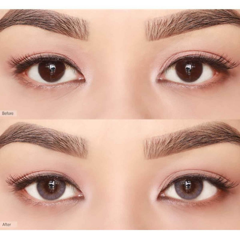 OLENS French Shine Lavender One Day (10 Lens/Box) - Lensexpert