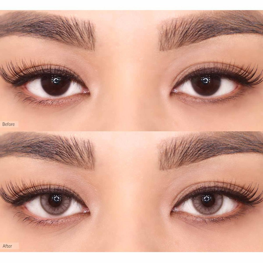 OLENS Russian Smoky Brown One Day (10 Lens/Box) - Lensexpert