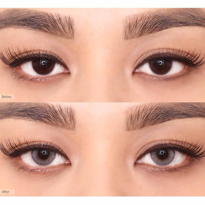 OLENS Russian Smoky Gray One Day (10 Lens/Box) - Lensexpert