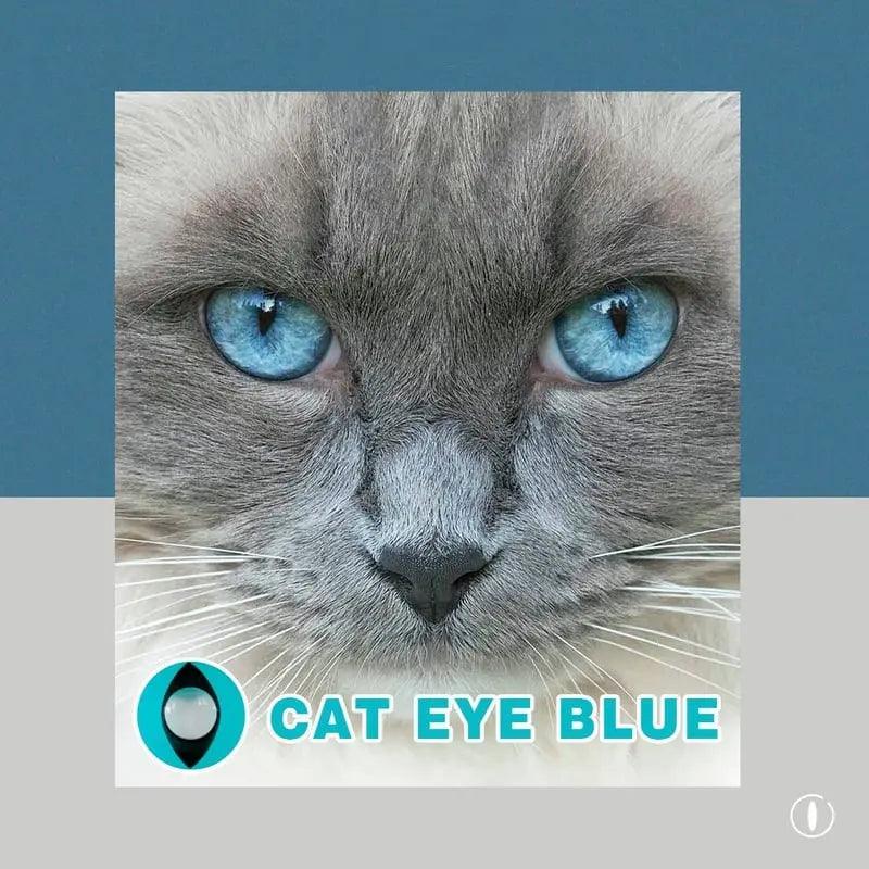 Cat Eye Blue | 1 Year - Lensexpert