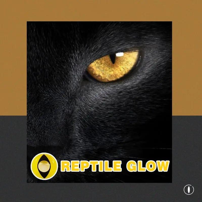 Reptile Glow | 1 Year - Lensexpert