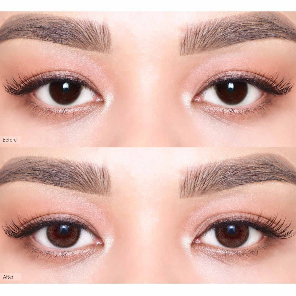 OLENS Viviring Choco One Day (10 Lens/Box) - Lensexpert