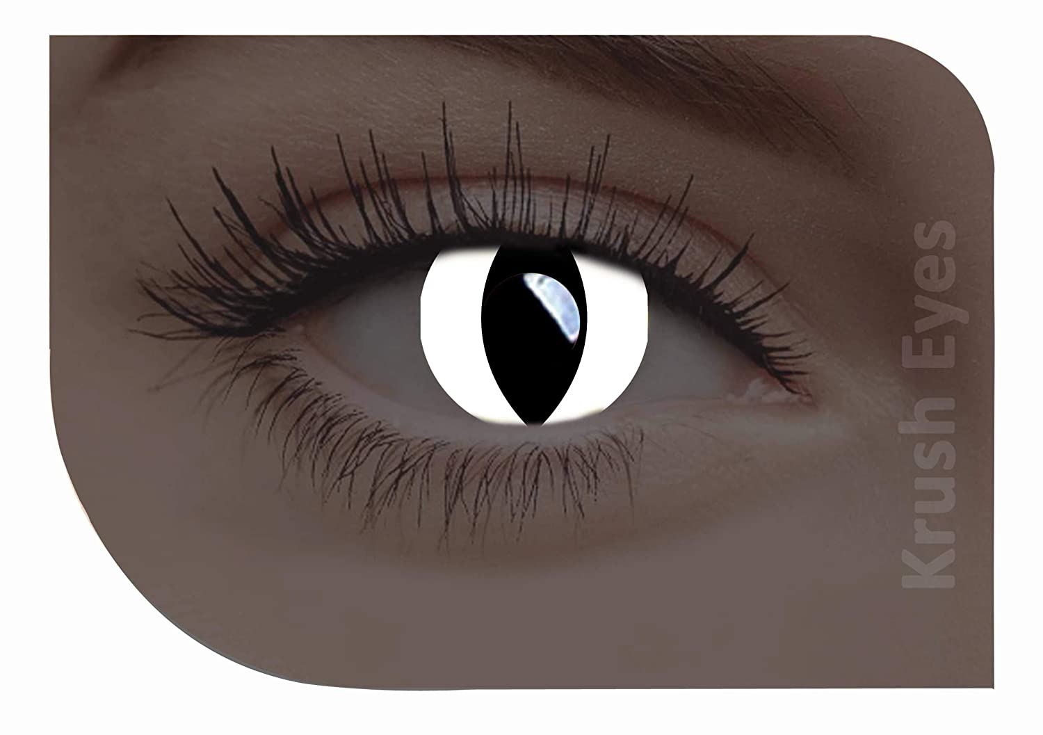 WHITE CAT WEEKLY HELLOWEEN CONTACT LENSES - Lensexpert