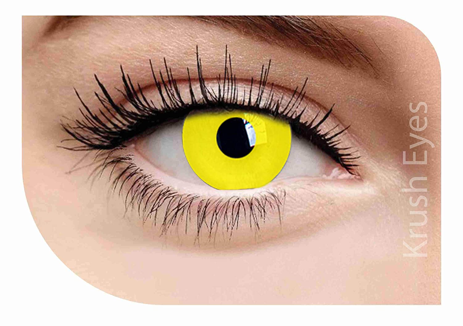 YELLOW BLOCK WEEKLY HELLOWEEN CONTACT LENSES - Lensexpert