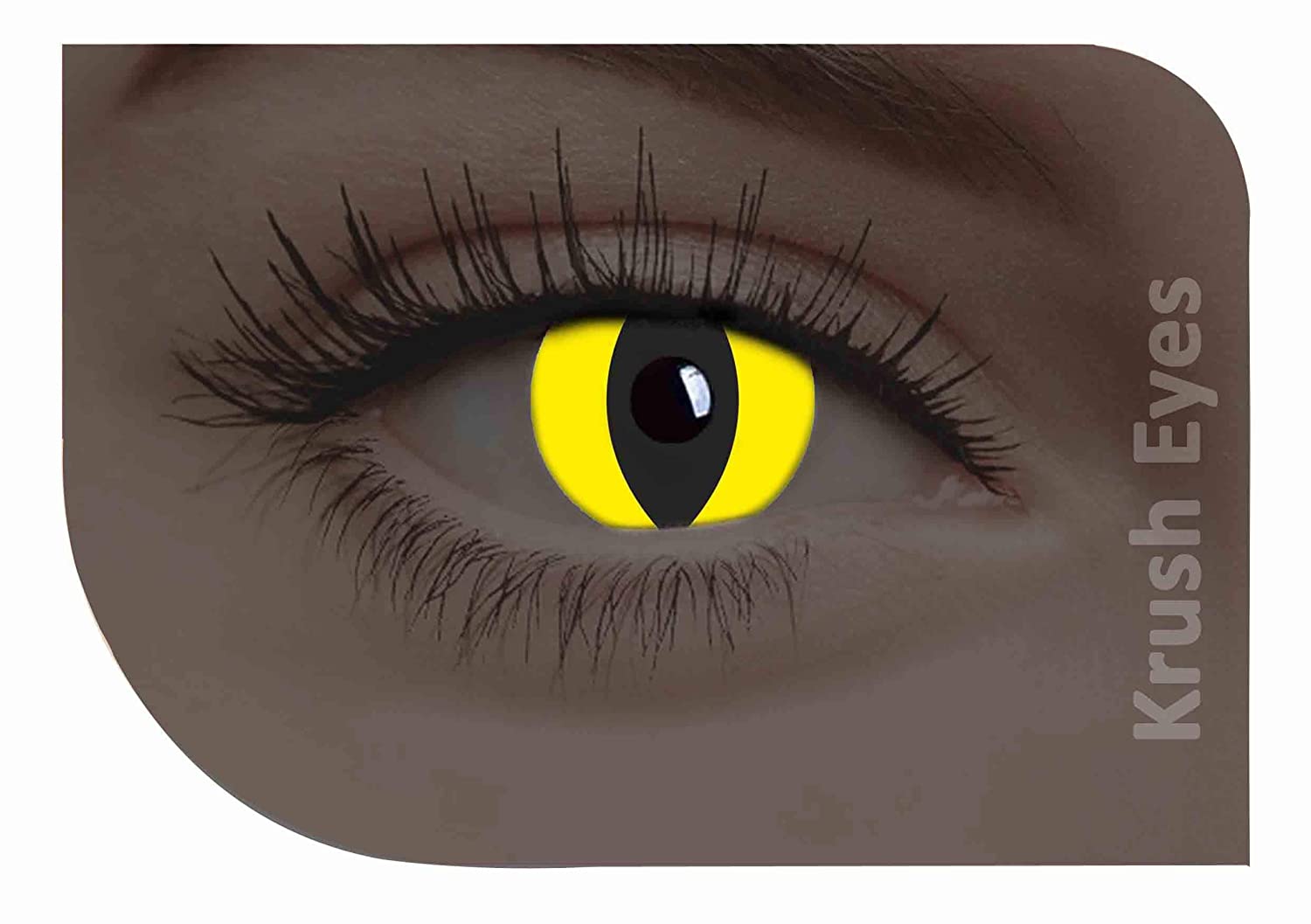 YELLOW CAT WEEKLY HELLOWEEN CONTACT LENSES - Lensexpert