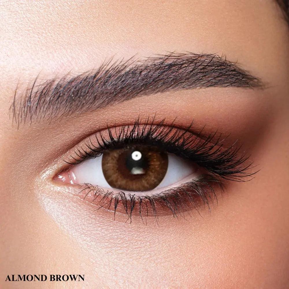 BELLA ONE DAY COLLECTION COLOR CONTACT LENS – ALMOND BROWN (10 LENS/BOX) - Lensexpert