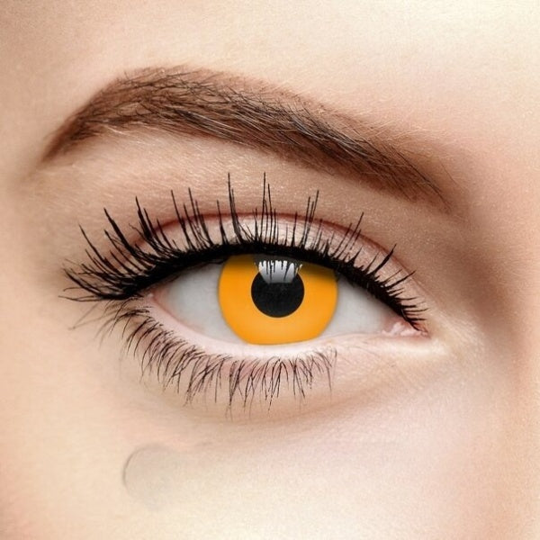 ORANGE HELLOWEEN WEEKLY CONTACT LENSES - Lensexpert